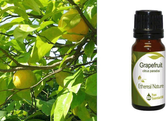 Nature & Body Γκρέϊπφρουτ Grapefruit Αιθέριο Έλαιο Grapefruit 10ml