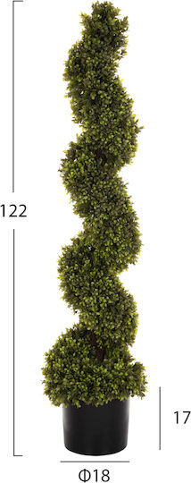 Buxus in Pot HomeMarkt Buxus in Pot HomeMarkt