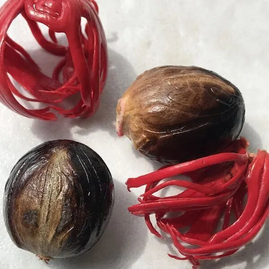 Μοσχοκαρυδο Ινδονησιας Τριμμενο 50 Gr
