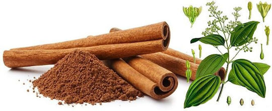 Panora Zimt 50gr