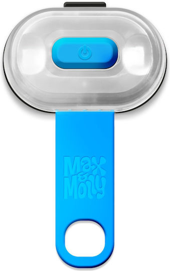 Max & Molly Hundemarke mit Licht Blau aus Gummi