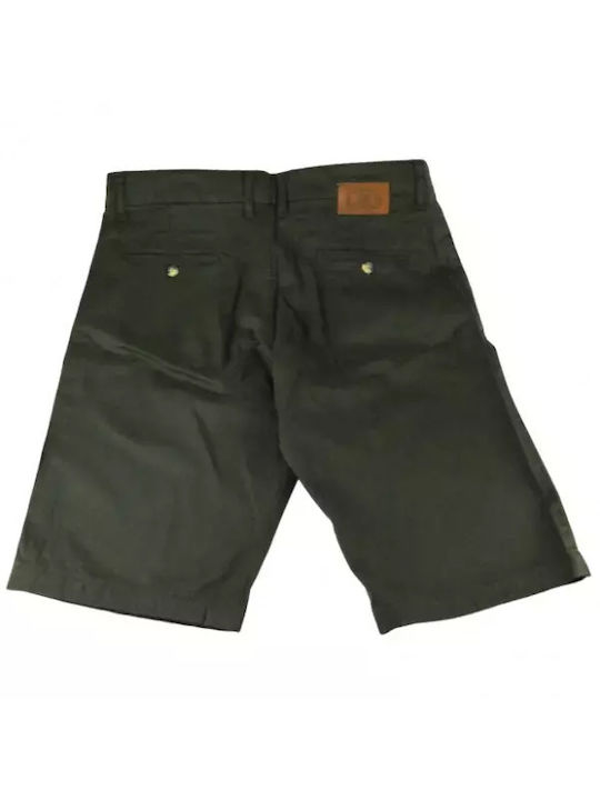 New World Polo Herrenshorts Haki