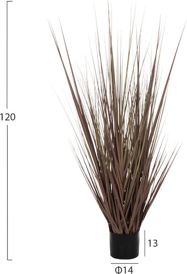 HomeMarkt Brown Grass in Potted Plant HomeMarkt Brown Grass in Potted Plant