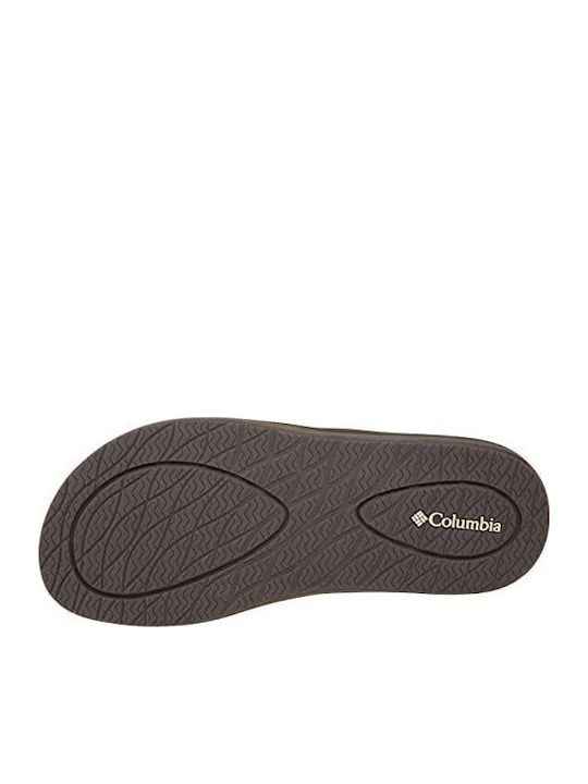 Ανδρικά Flip Flops Καφέ