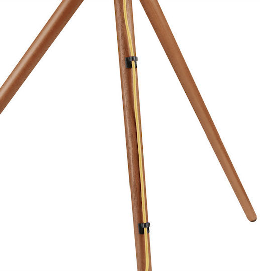 Sbox FS-1246F Βάση Τηλεόρασης Δαπέδου έως 65" και 32kg Ασημί