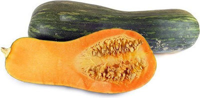 Gemma Μακριά Seeds Pumpkinς Zucchini 1gr