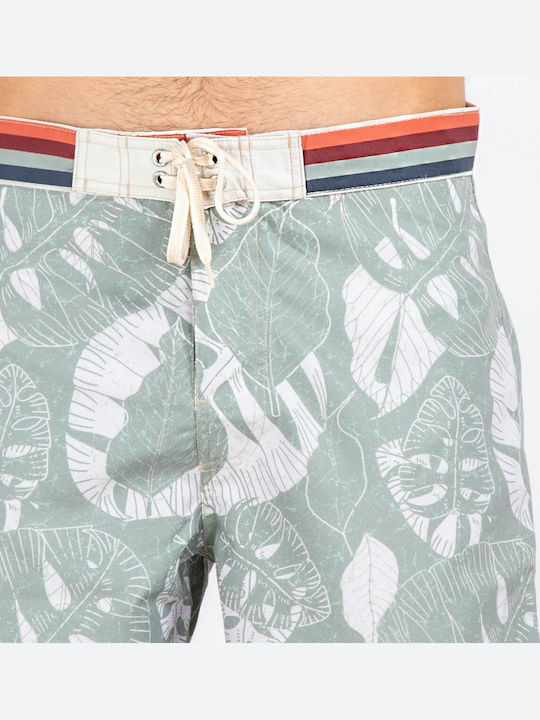 Herren Badebekleidung Shorts Grün