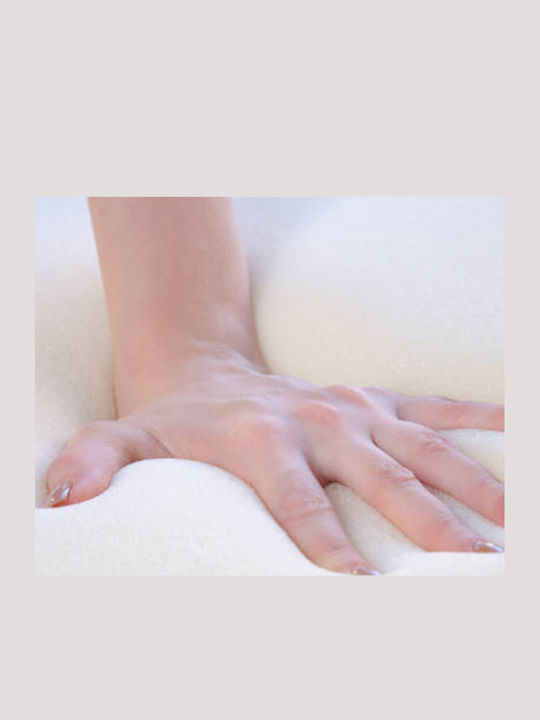 Bed & Home No.4 Aloe Vera Μαξιλάρι Ύπνου Memory Foam