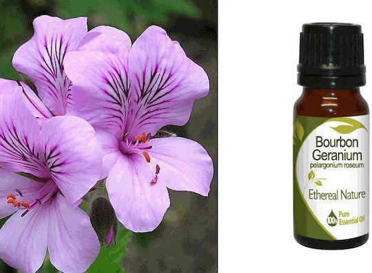 Nature & Body Гераниум Geranium Bourbon Киули Етерично Масло Гераниум 10ml