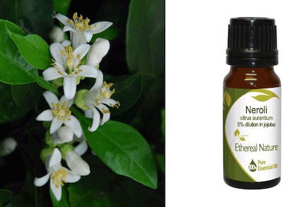 Nature & Body Ätherisches Öl Neroli 10ml