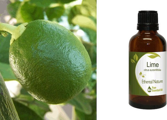 Nature & Body Ätherisches Öl Limette 50ml