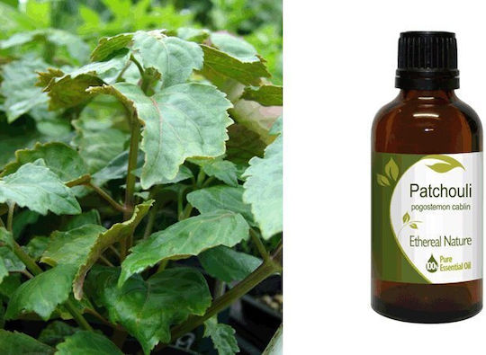 Nature & Body Αιθέριο Έλαιο Πατσουλί 50ml
