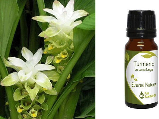 Nature & Body Ätherisches Öl Kurkuma 10ml