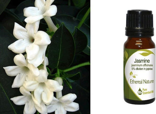 Nature & Body Γιασεμί Jasmine Αιθέριο Έλαιο Γιασεμί 10ml