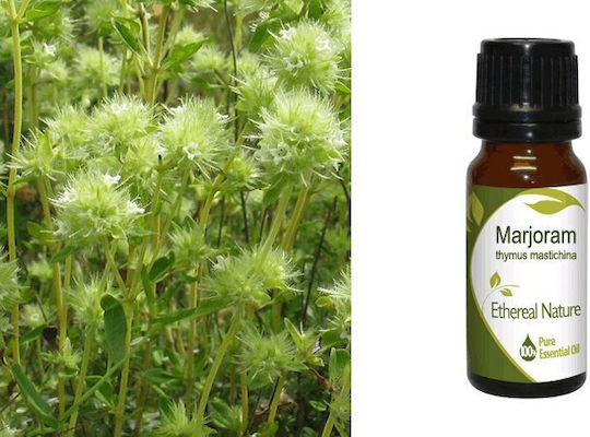 Nature & Body Αιθέριο Έλαιο Μαντζουράνα 10ml