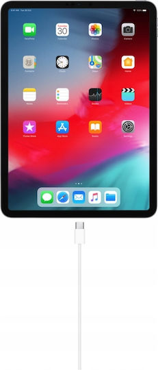 USB 2.0 Cable USB-C male - USB-C 100W Λευκό 1m CO2-0074