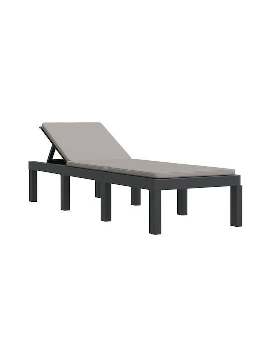 Sunbed Single Plastic with Cushion 65x65x32cm.