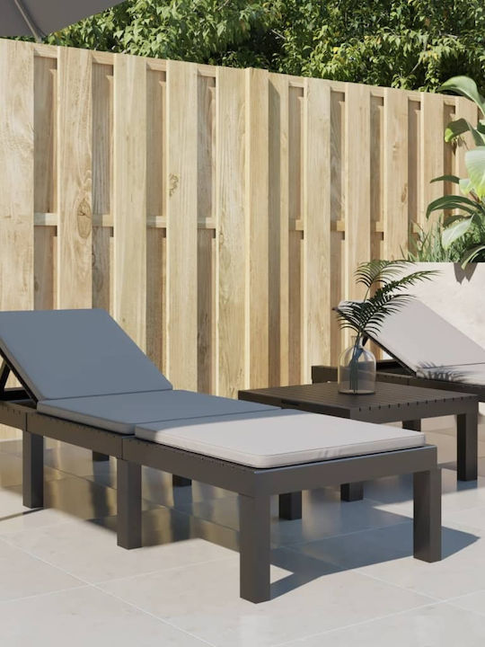 Sunbed Single Plastic with Cushion Gray 65x65x32cm.