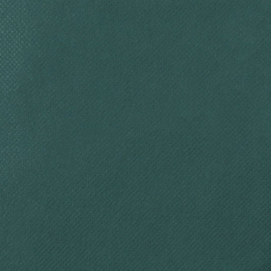 vidaXL 3203584 Frostschutzdeckel 70gr/m² 3.14x2.5m Grüne
