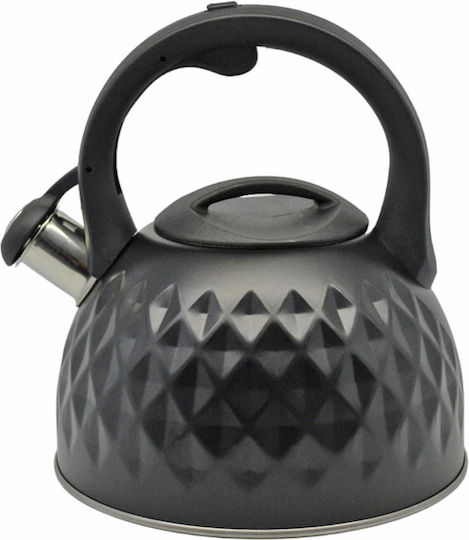 Ankor Stainless Steel Boiler 3000ml Ankor Stainless Steel Boiler 3000ml