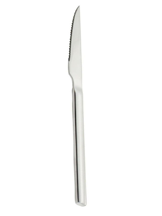 Dinox Neon Messer Steak aus Edelstahl 23.5cm 03097 1Stück