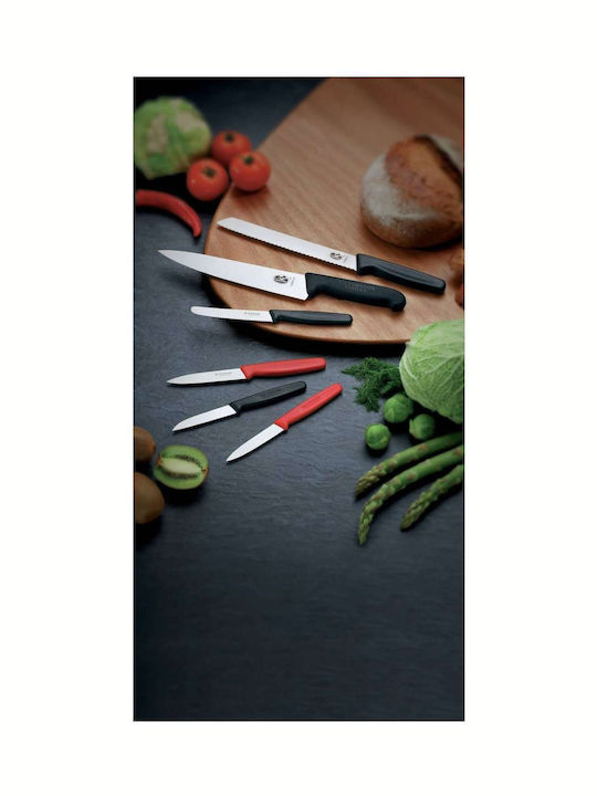 Victorinox Meat Knife of Stainless Steel 25cm 5.7323.25