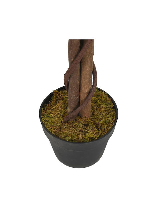 Ficus Lyrata În Ghiveci 80cm vidaXL
