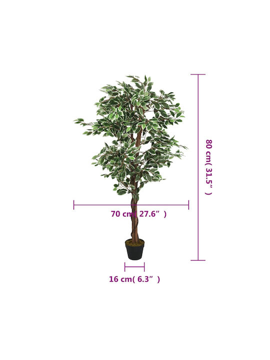 Ficus Lyrata În Ghiveci 80cm vidaXL