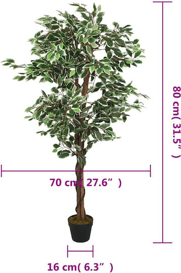 Fikus in Topfpflanze 80cm vidaXL