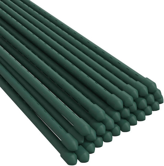 vidaXL Βέργες Στήριξης Φυτών 11mmx150cm από Ατσάλι Σετ 30τμχ