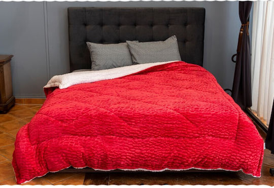 BS Collection Coral BS Collection Coral