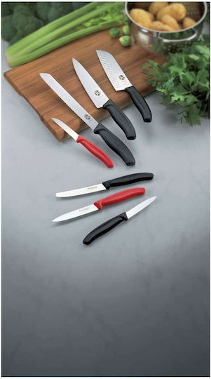 Victorinox Swiss Classic Μαχαίρι Τυριού από Ανοξείδωτο Ατσάλι 11cm