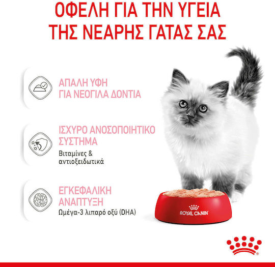 Royal Canin Wet Food for Young Cats in Pouches with Tuna Diet 85gr