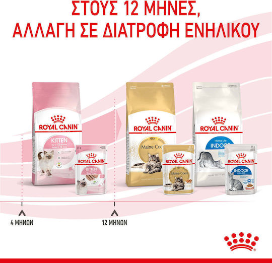 Royal Canin Wet Food for Young Cats in Pouches with Tuna Diet 85gr