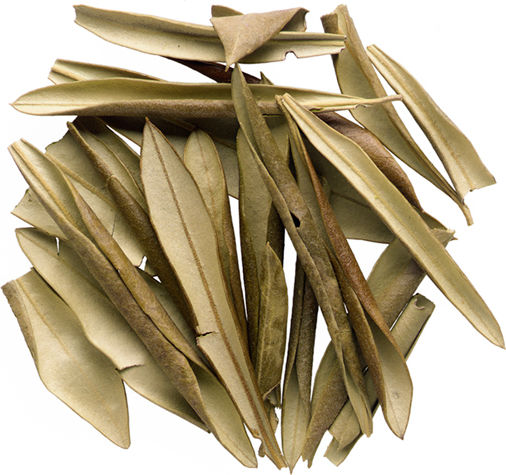 Mesogeios Frunze de măslin 40gr
