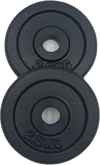 Profit Δίσκος Μεταλλικός 1 x 2.5kg Φ28mm