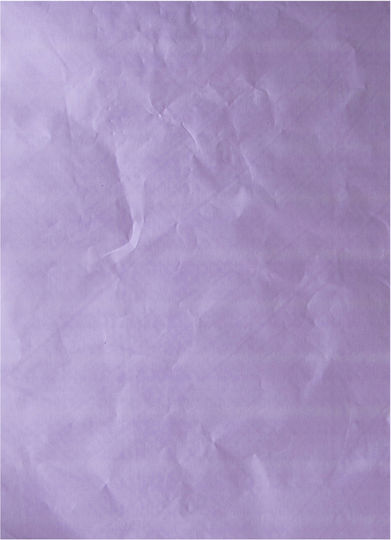 Aluminum Leaf 17x12.5cm