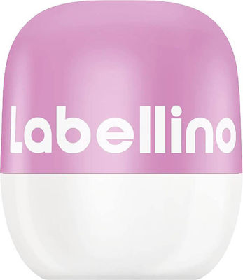 Labello Labellino Lippen Balsam