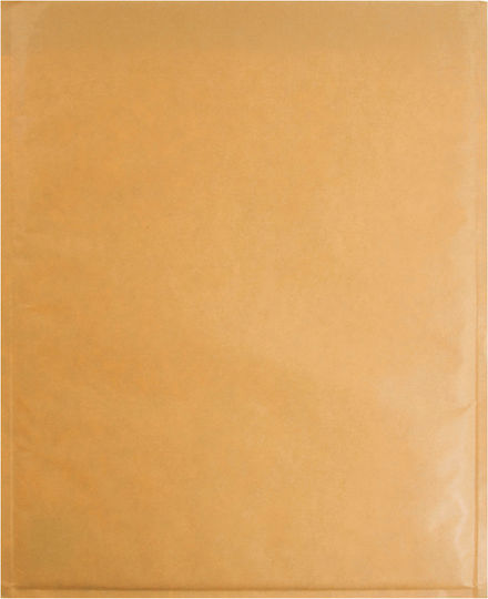 Reinforced Bubble Mailer 1 Pc No 1