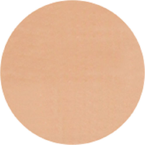 Zao Organic Makeup Abdeckstift Nachfüllung Abdeckstift Stick 3,5 g
