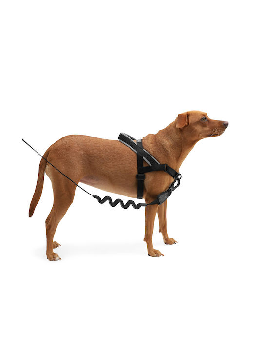 Zee-Dog Εκπαιδευτικό Softer Walk Gotham Small