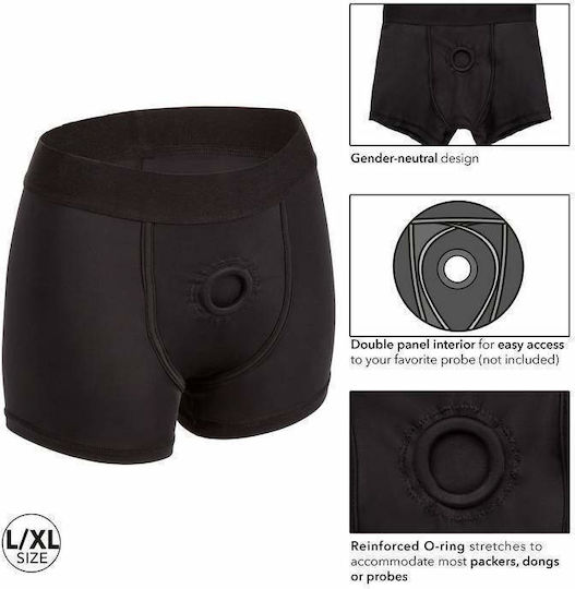 Calexotics Her Royal Harness Boxer Unterwäsche in Schwarz Farbe