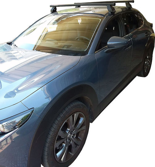 Menabo Roof box Kit (with Roof Rack Legs) Silver