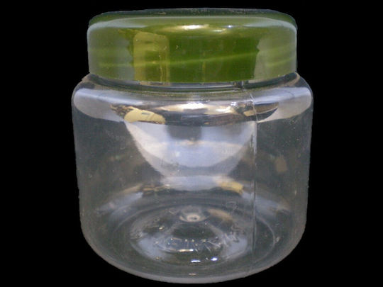 Βάζο Pet 1 Τεμ 250 Ml