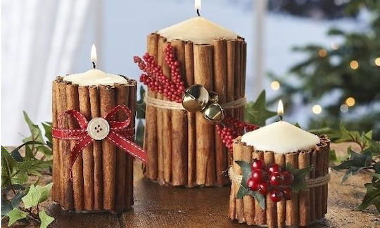 Indonesian Cinnamon Decorative Wood 250g 20cm