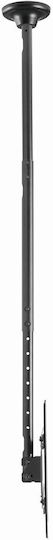 Gembird CM-70ST-01 Βάση Τηλεόρασης Οροφής έως 70" και 50kg Μαύρο