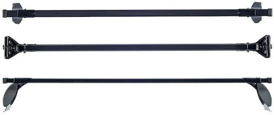 Auto Gs Autodachträger Metallisch 115cm ohne Beine Silber