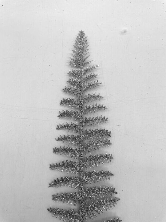 blokker Weihnachtsdekoration Kranz mit Durchmesser 36cm. 3Stück