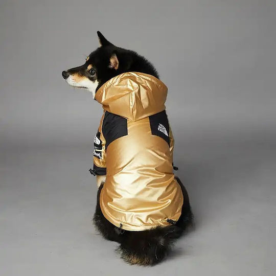 Gold Waterproof Dog Coat with Hood
