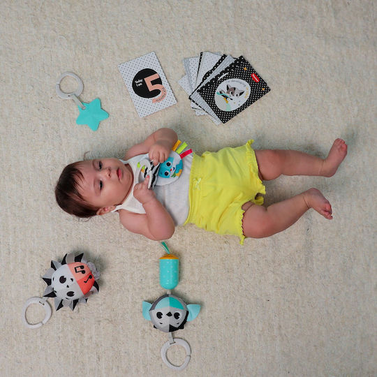 Tiny Love Geschenkset für Babys
